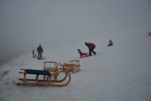 DSC_0125.JPG